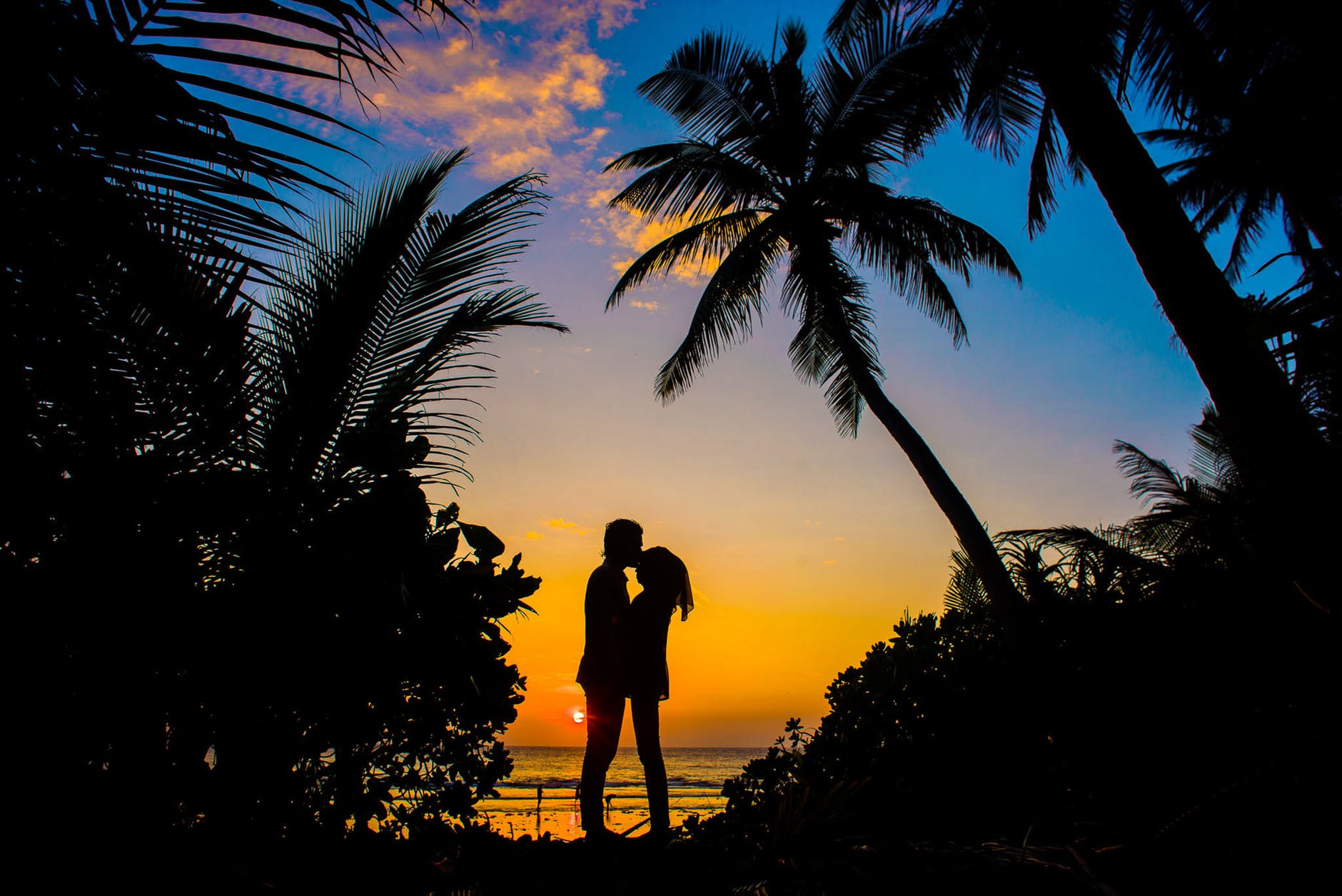 It is sunset on a beach. The orange sky is reflected in the water. There are palm trees silhouetted against the sky, and a man and woman also silhouetted as the man kisses the woman on the forehead.